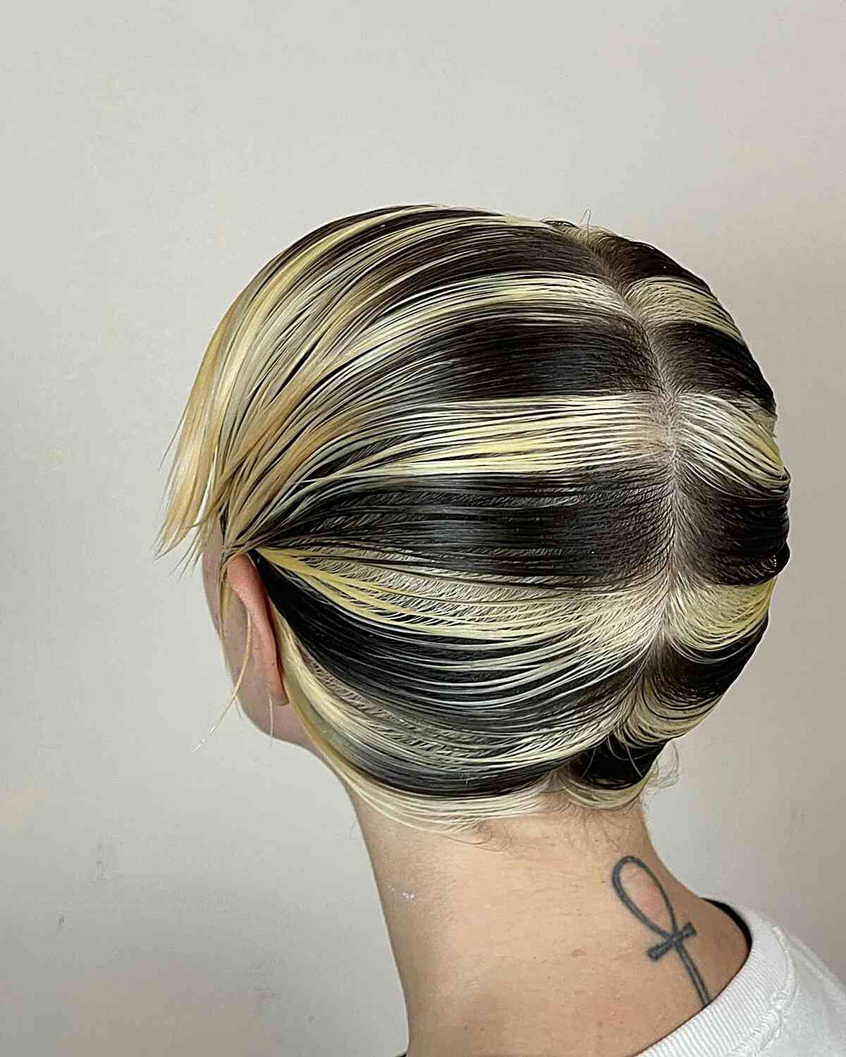 29 Skunk Stripe Hairstyles: Expert Tips & Inspiration