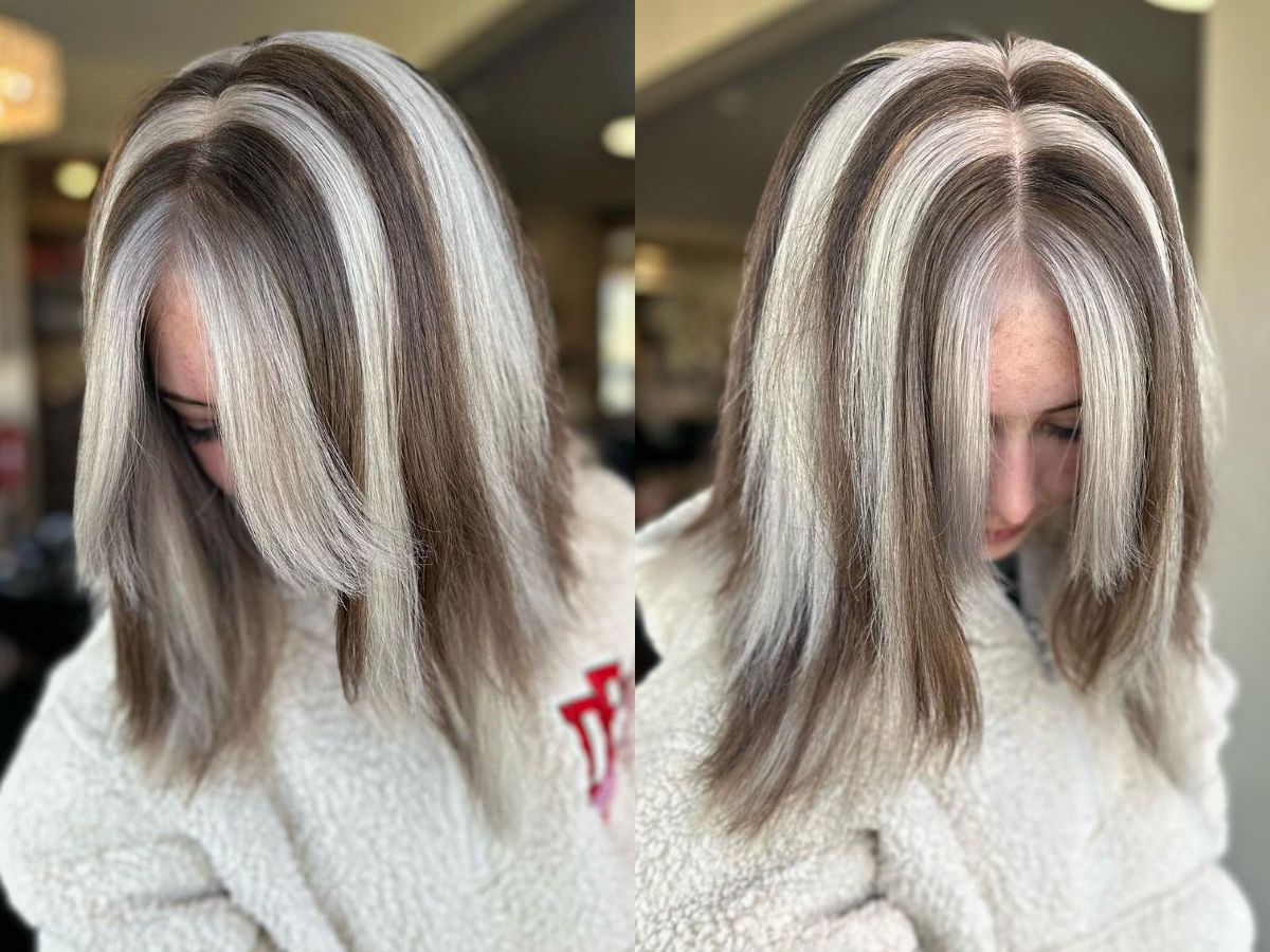 29 Skunk Stripe Hairstyles: Expert Tips & Inspiration