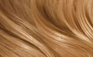 Hair Color Chart: Find Your Perfect Shade (Blonde, Brunette, Red, Black)