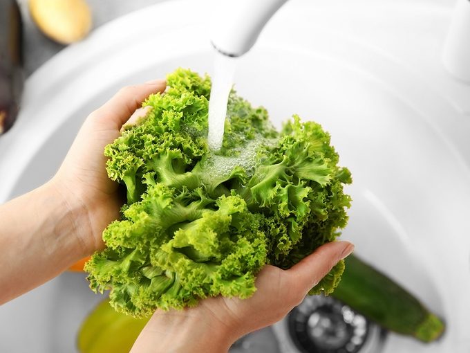 The Ultimate Guide to Washing and Drying Lettuce for Food Safety