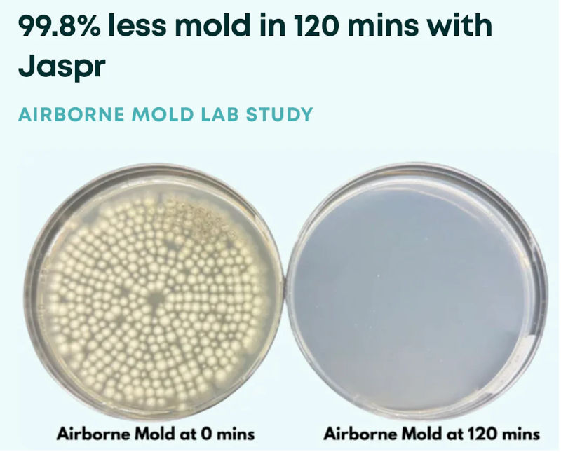 Jaspr Air Scrubber Review: Long-Term Performance & Family Insights