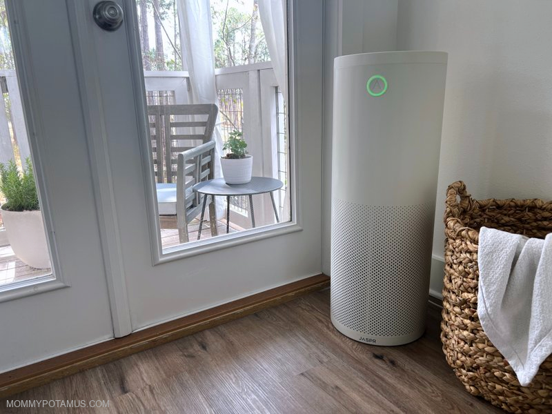 Jaspr Air Scrubber Review: Long-Term Performance & Family Insights