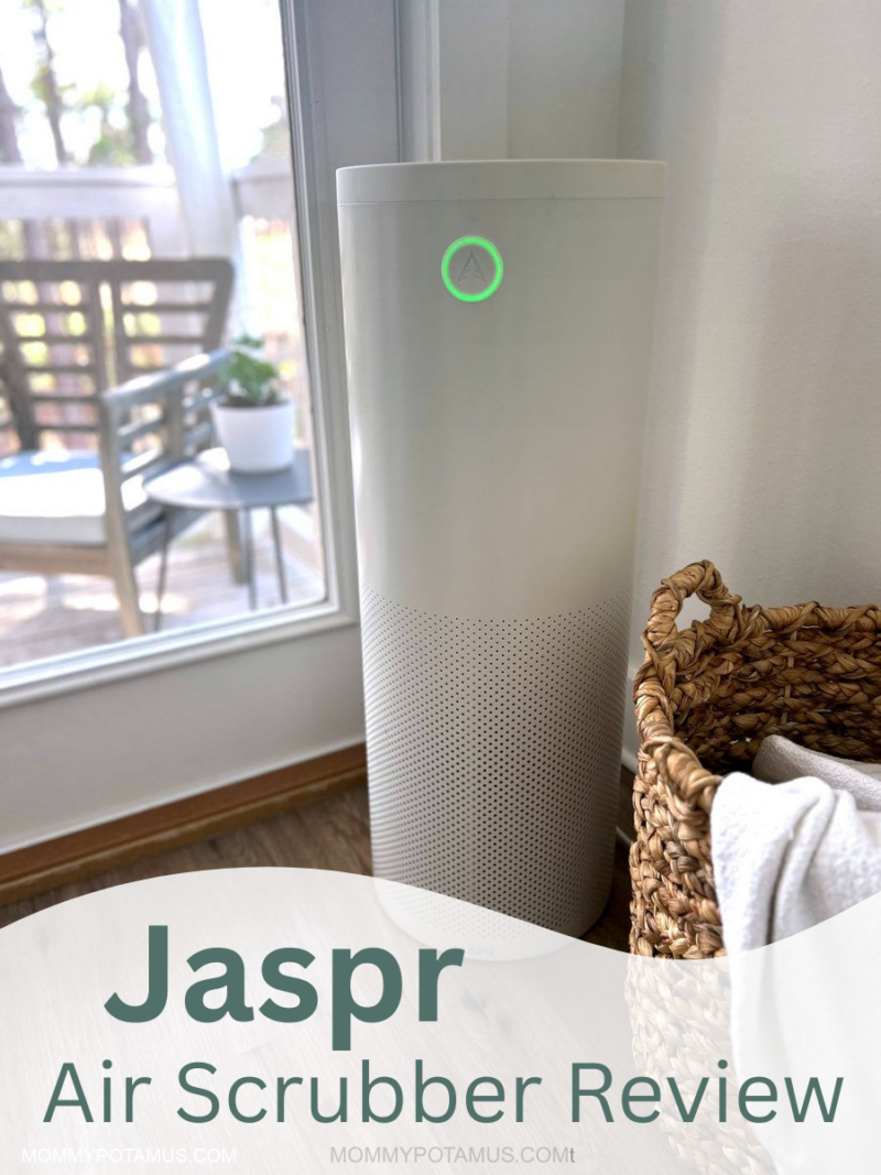 Jaspr Air Scrubber Review: Long-Term Performance & Family Insights