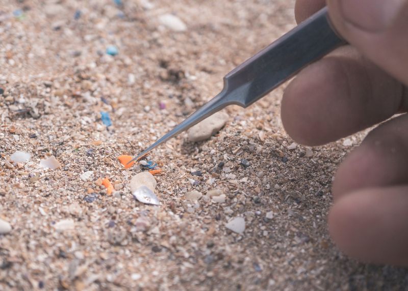 Microplastics & Diet: Exploring Foods That May Help