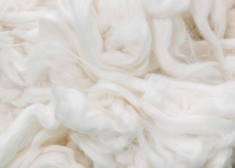 A Comprehensive Guide to Natural Clothing Fibers