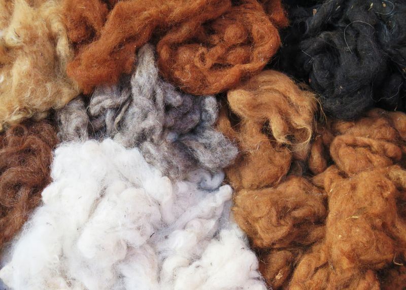 A Comprehensive Guide to Natural Clothing Fibers