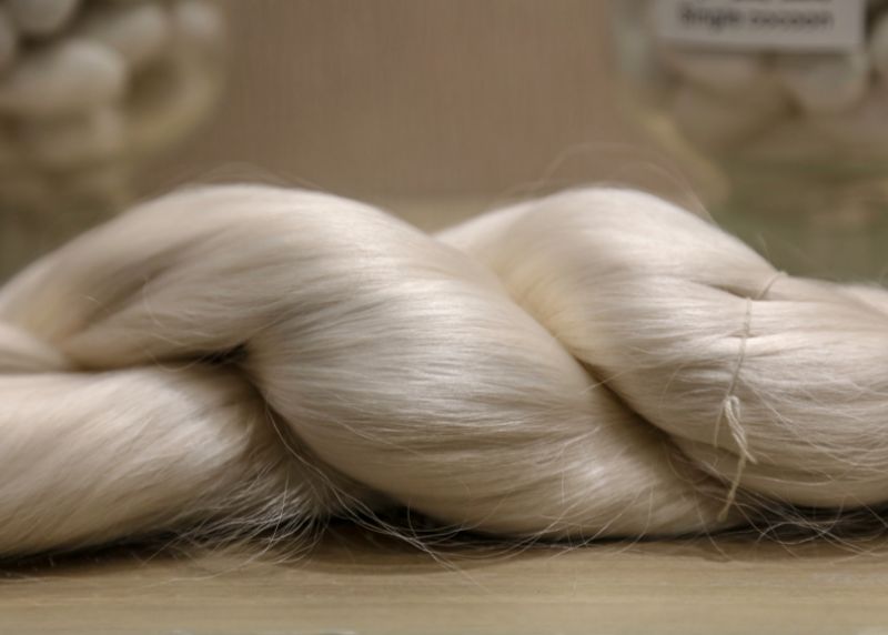 A Comprehensive Guide to Natural Clothing Fibers