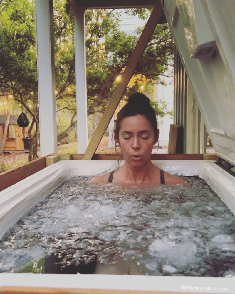 Understanding the Vagus Nerve: Your Key to Stress Resilience