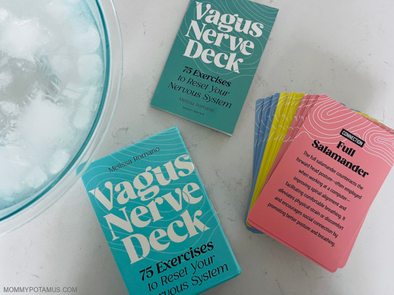Understanding the Vagus Nerve: Your Key to Stress Resilience