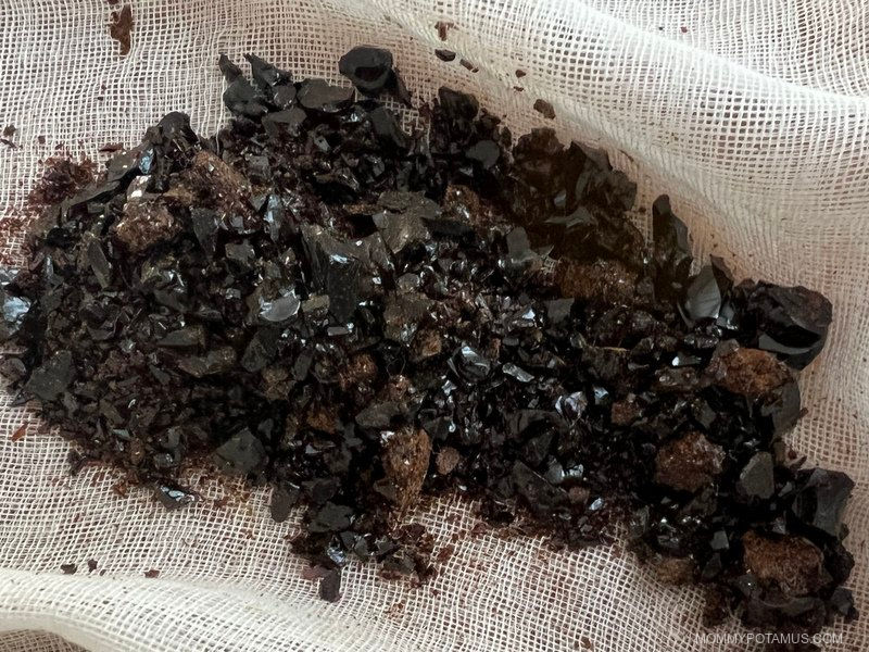 Bee Propolis: 6 Proven Benefits & DIY Tincture Recipe