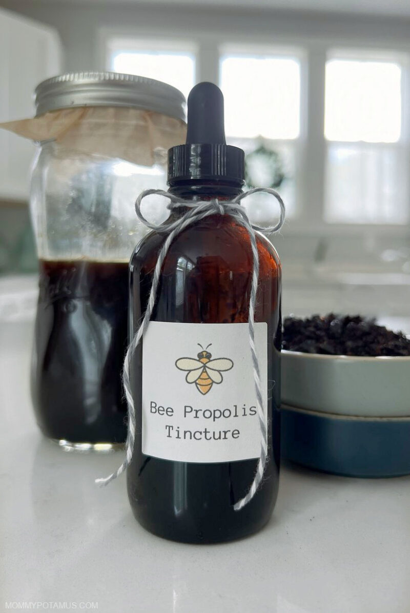 Bee Propolis: 6 Proven Benefits & DIY Tincture Recipe