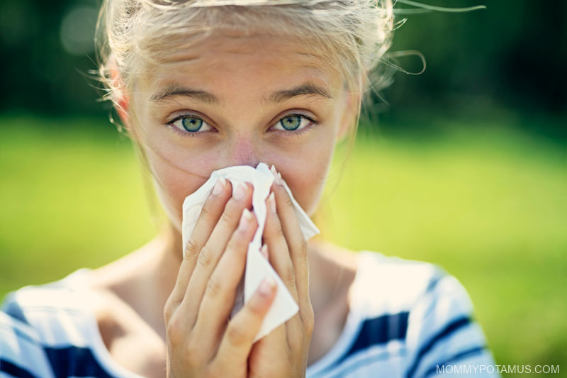 Natural Allergy Relief: 6 Effective Home Remedies