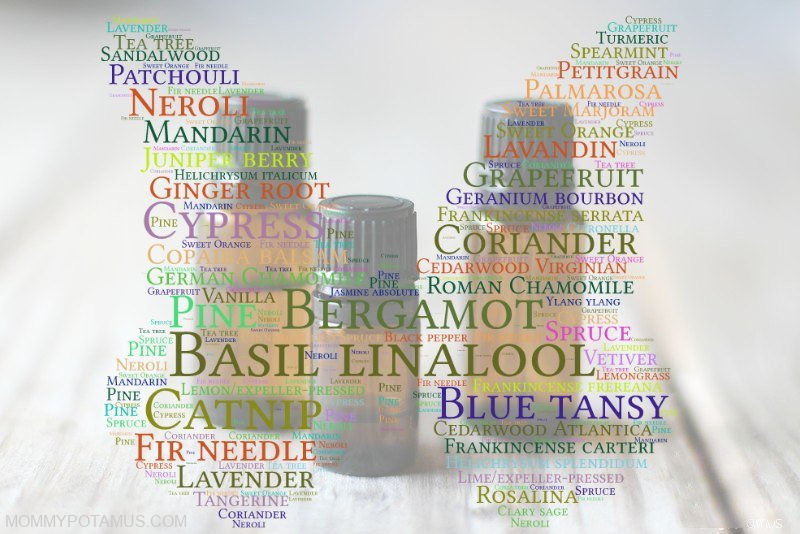 Safe Essential Oils for Kids: A Comprehensive Guide (70+ Oils & Usage)
