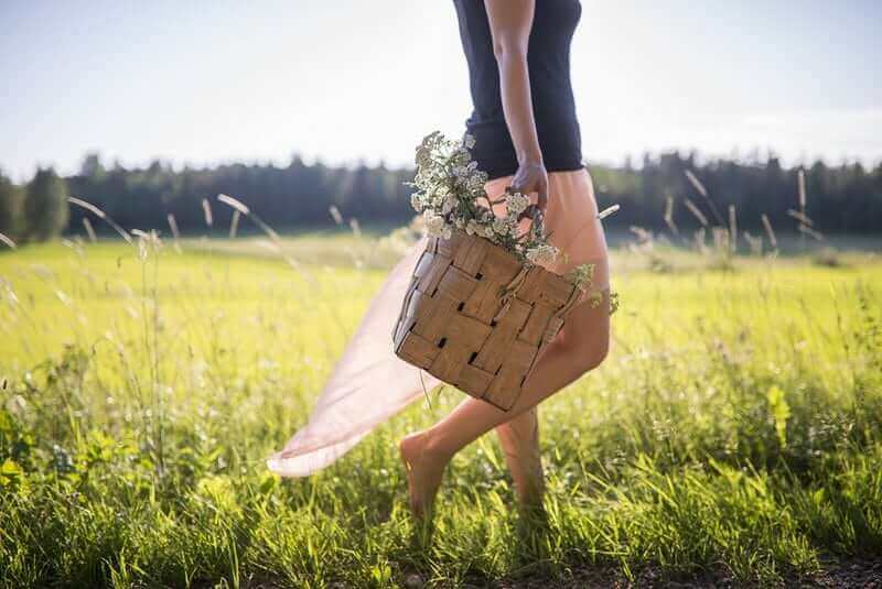 Yarrow: History, Benefits & Culinary Uses - A Comprehensive Guide