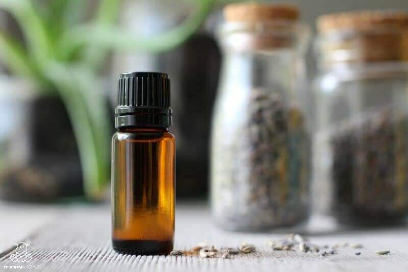20 Creative Uses for Lavender: From Bath to Home