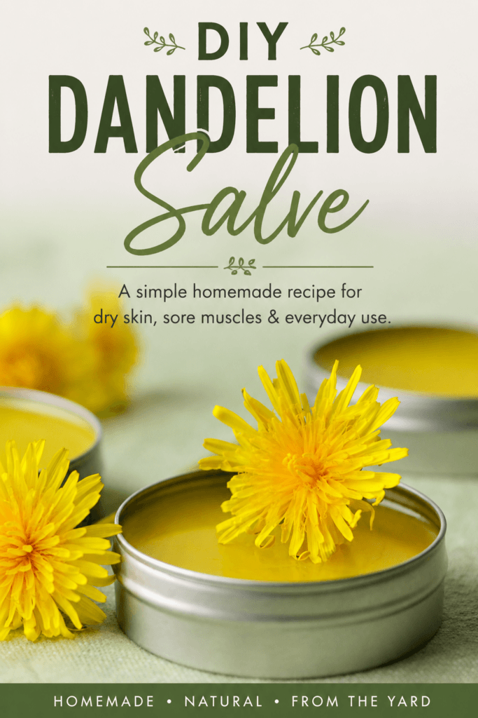 Dandelion Salve for Sore Muscles and Healthy Skin: A DIY Guide