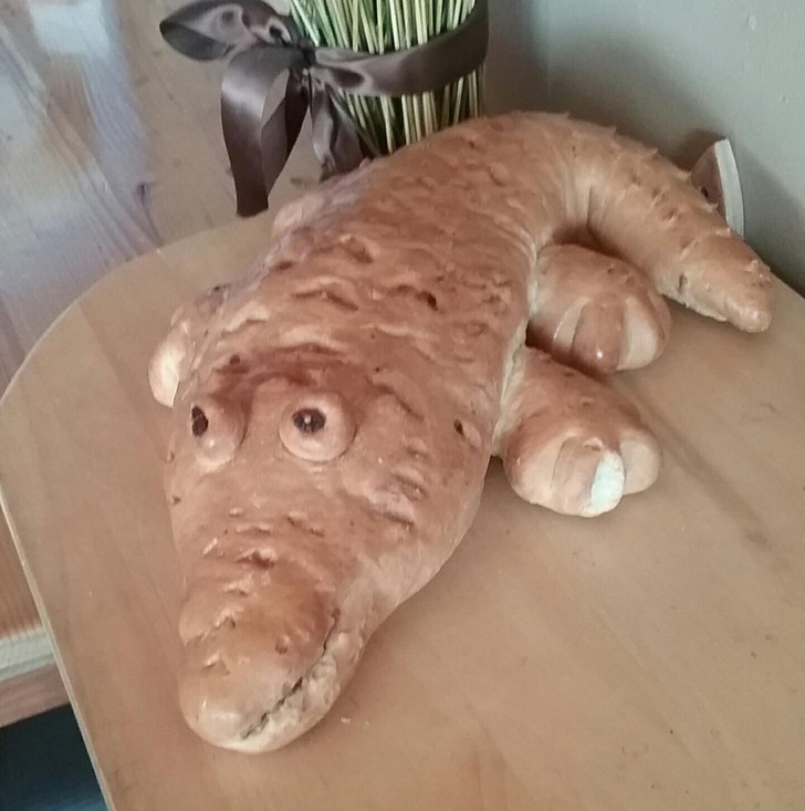 18 Retirees Who Unearthed Unexpected Passions After Retirement