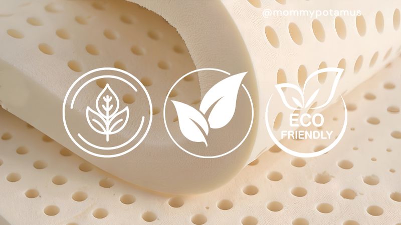 Dorm Room Wellness Essentials: A Parent’s Complete Guide
