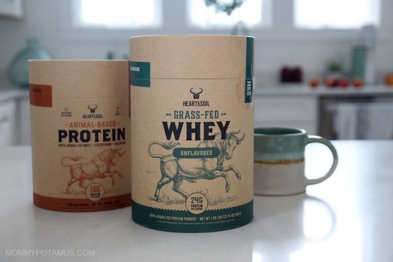 Top Protein Powders for Women: Expert Picks – Whey, Beef & Plant‑Based