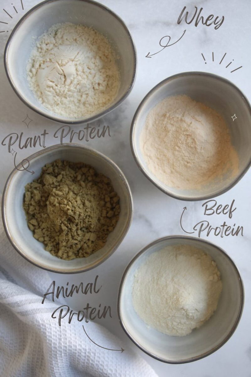Top Protein Powders for Women: Expert Picks – Whey, Beef & Plant‑Based