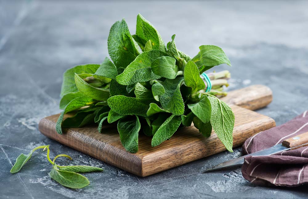 Soulagement naturel des symptômes de la ménopause :10 remèdes efficaces