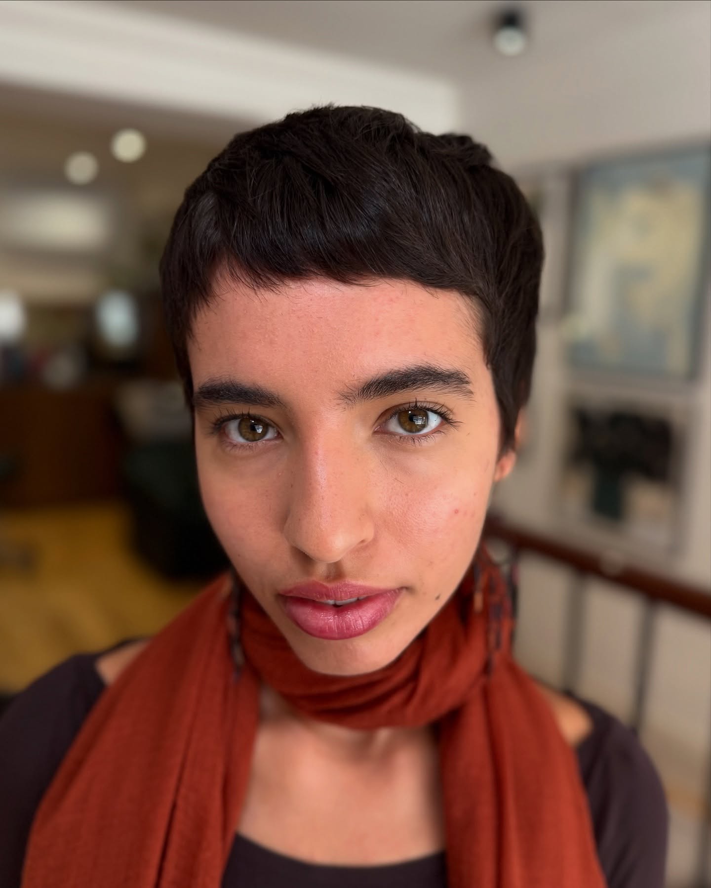 Audrey Hepburn Pixie Cuts :styles et tendances pour 2026 