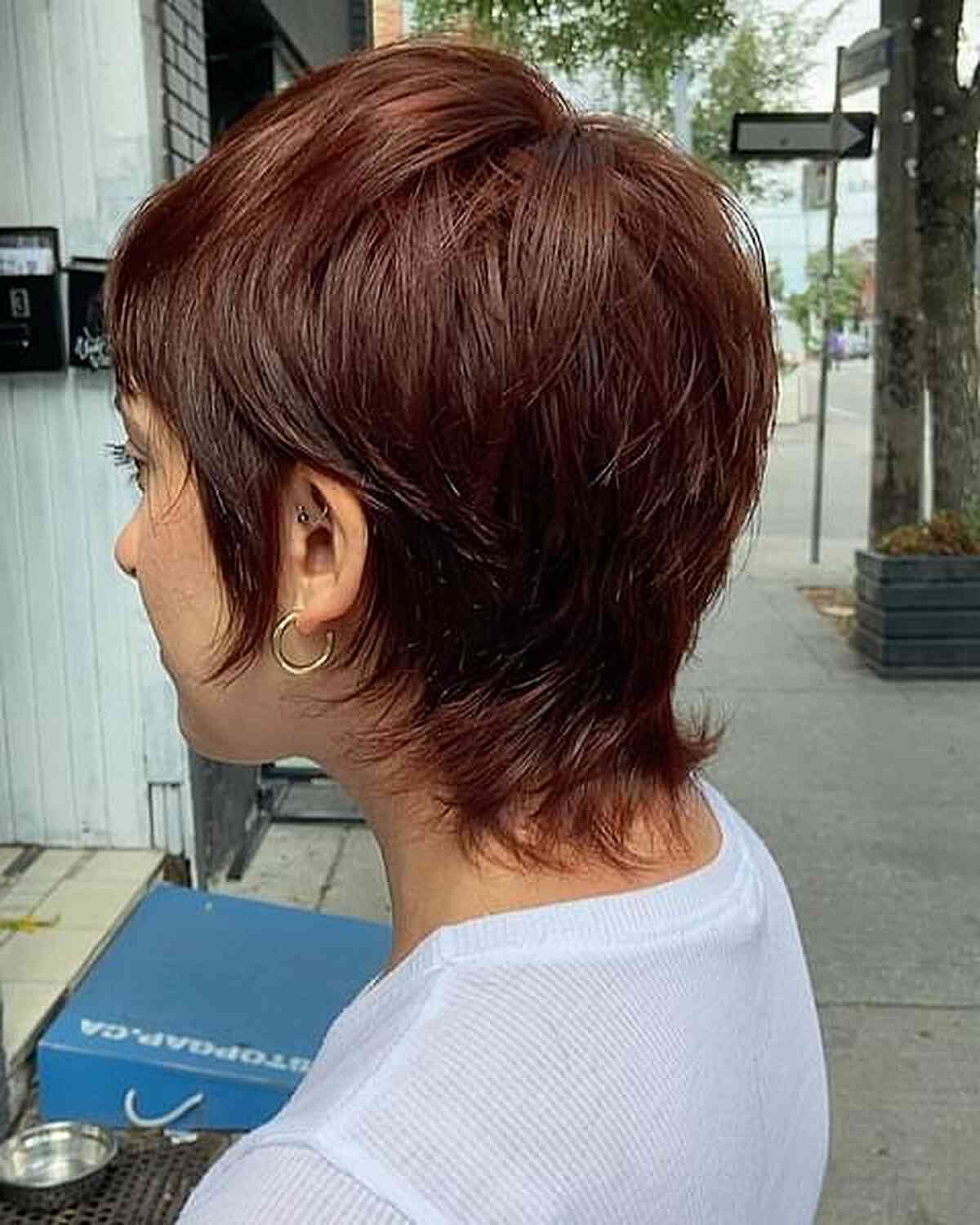 Tendencia de cabello cortado Wixie:34 estilos impresionantes y cómo lograrlos