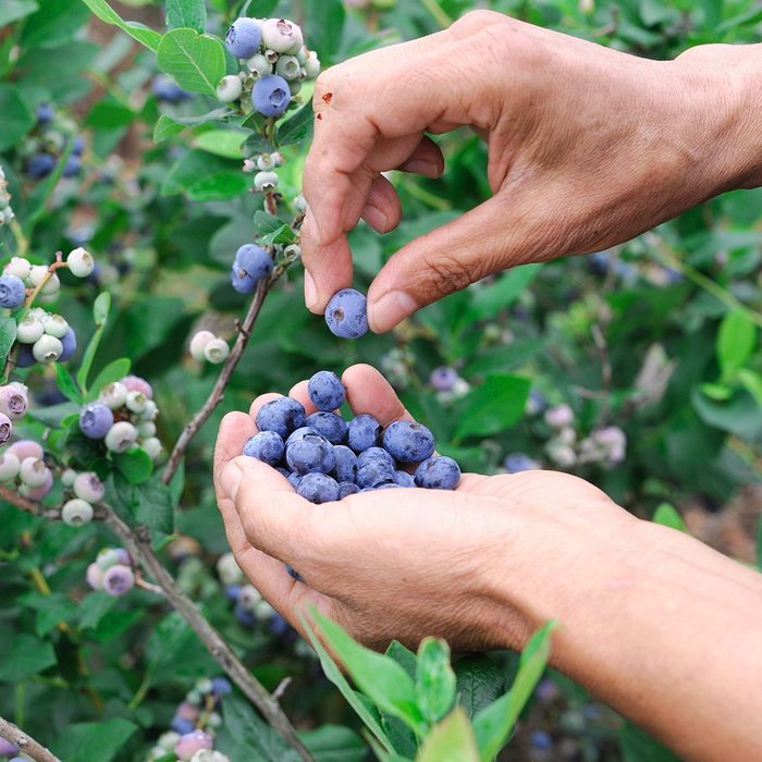 Estratégias de culinária vintage para refeições econômicas modernas 