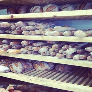 Les meilleurs restaurants abordables de Montréal :10 bouchées emblématiques 