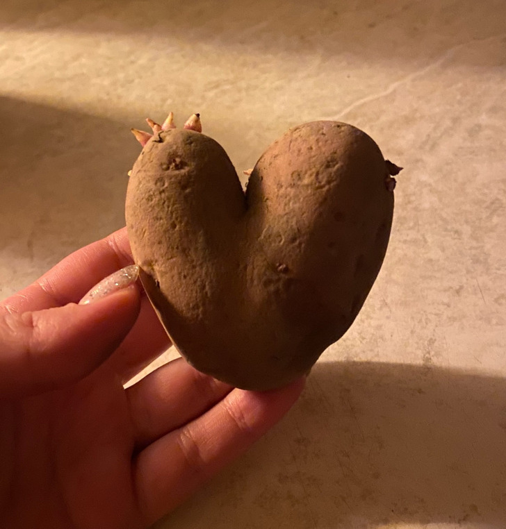 Encontrando o amor nos momentos do dia a dia:14 histórias de romance real 