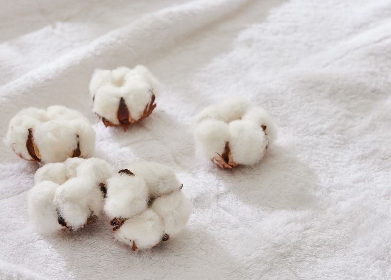 Un guide complet sur les fibres naturelles des vêtements 