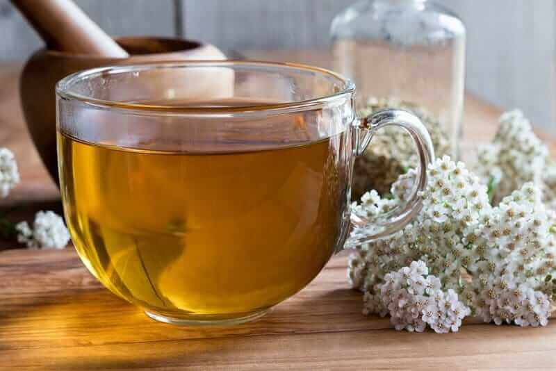 Yarrow :histoire, avantages et utilisations culinaires - Un guide complet 