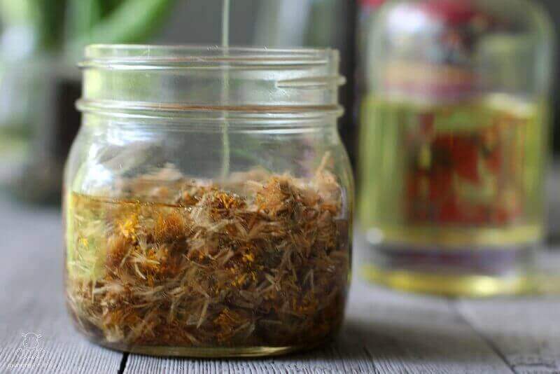 Recette de crème à l arnica :apaiser les douleurs musculaires et les contusions naturellement 